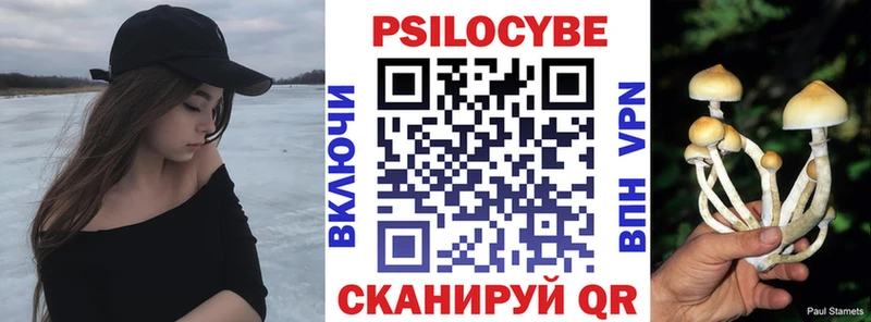 Псилоцибиновые грибы GOLDEN TEACHER  Бежецк 